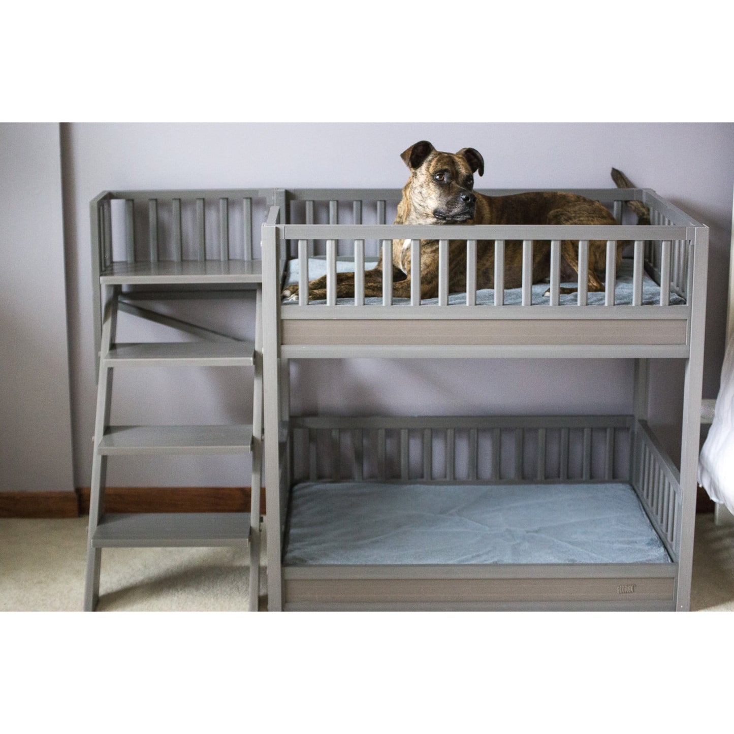 New Age Pet ECOFLEX Aspen Dog Bunk Bed in Grey, Two Memory Foam Cushions