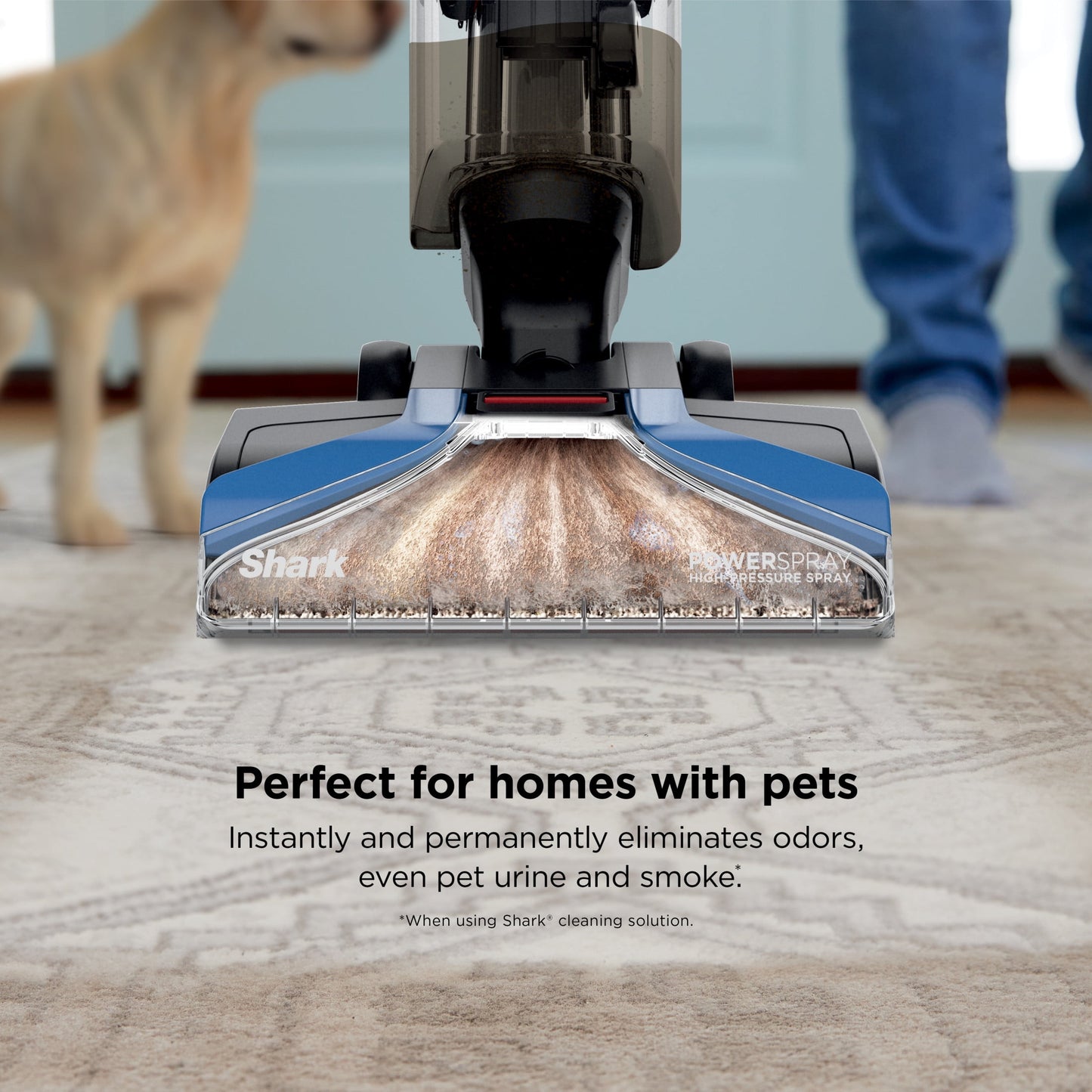 Shark CarpetXpert Upright Carpet &amp; Area Rug Cleaner, Pet Friendly, Lightweight &amp; Powerful, Dirt &amp; Odor Removal, Carpet Shampooer, Cleaning Solution, EX121BRN Blue