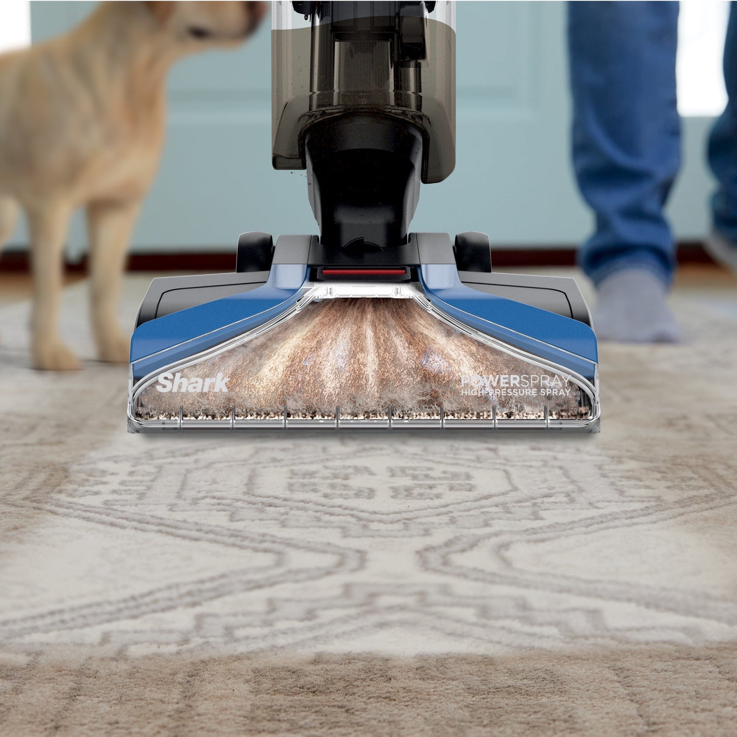 Shark CarpetXpert Upright Carpet &amp; Area Rug Cleaner, Pet Friendly, Lightweight &amp; Powerful, Dirt &amp; Odor Removal, Carpet Shampooer, Cleaning Solution, EX121BRN Blue