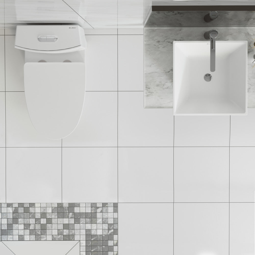 St. Tropez One Piece Elongated Toilet Dual Vortex Flush 1.1/1.6 gpf with 10" Rough In
