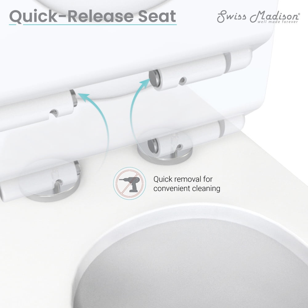 St. Tropez One Piece Elongated Toilet Dual Vortex Flush 1.1/1.6 gpf with 10" Rough In