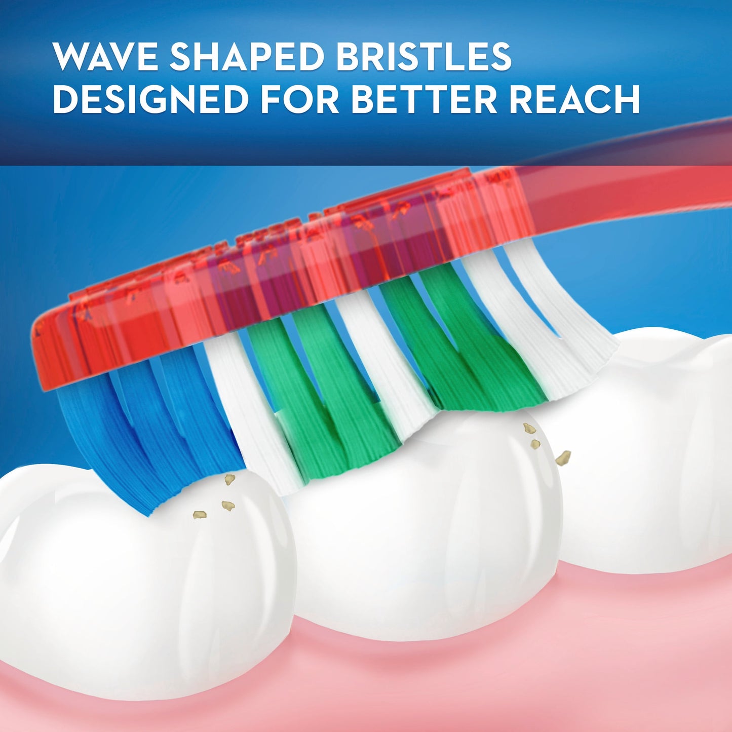 (4 pack) Oral-B Toothbrush Pack, Essential Clean Manual Toothbrushes, Soft Bristles, 6 Count
