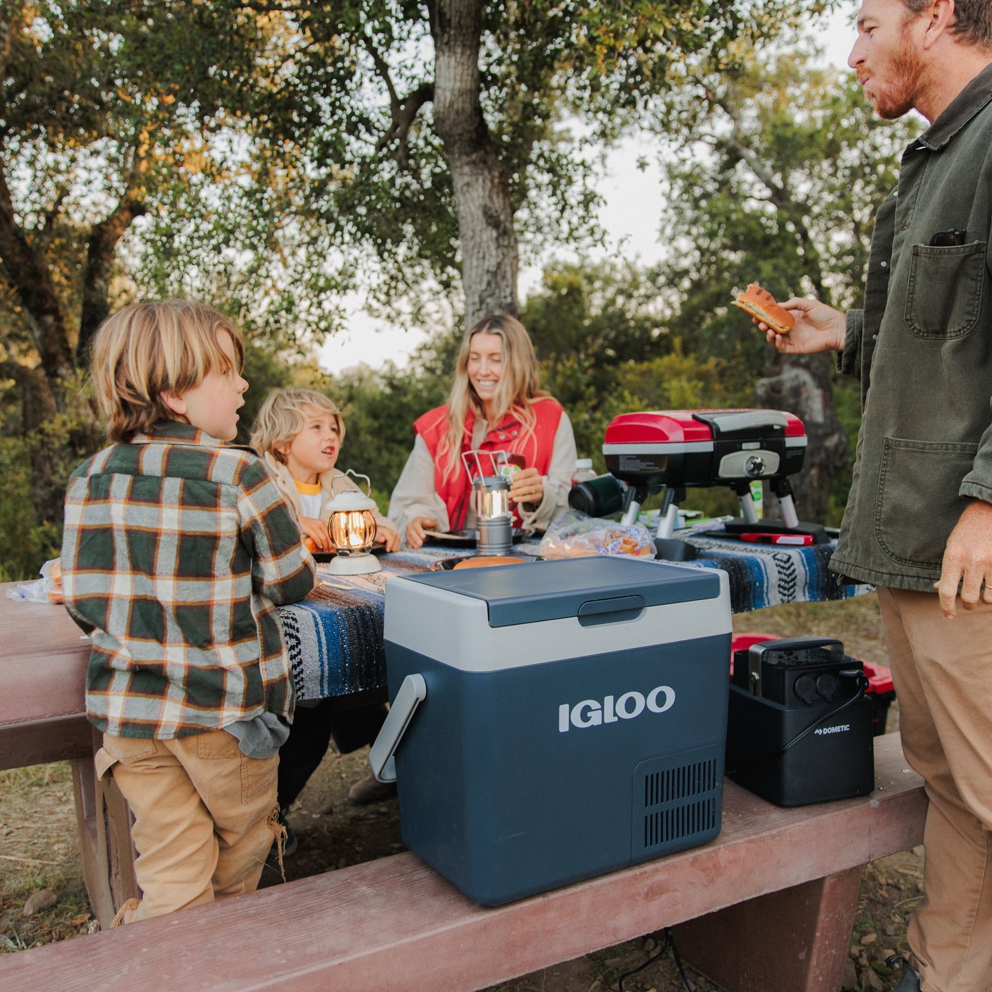 Igloo ICF 18 Active Electric Compressor Cooler, Rugged Blue