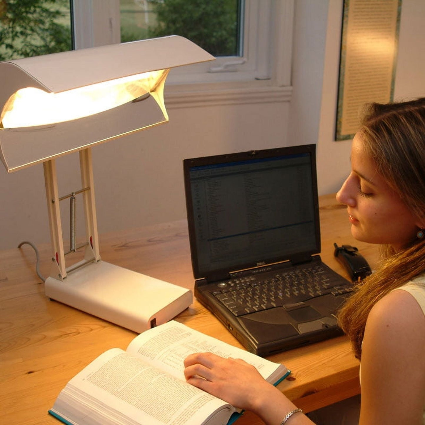 Northern Light 10,000 Lux, Bright Light Therapy Desk Lamp