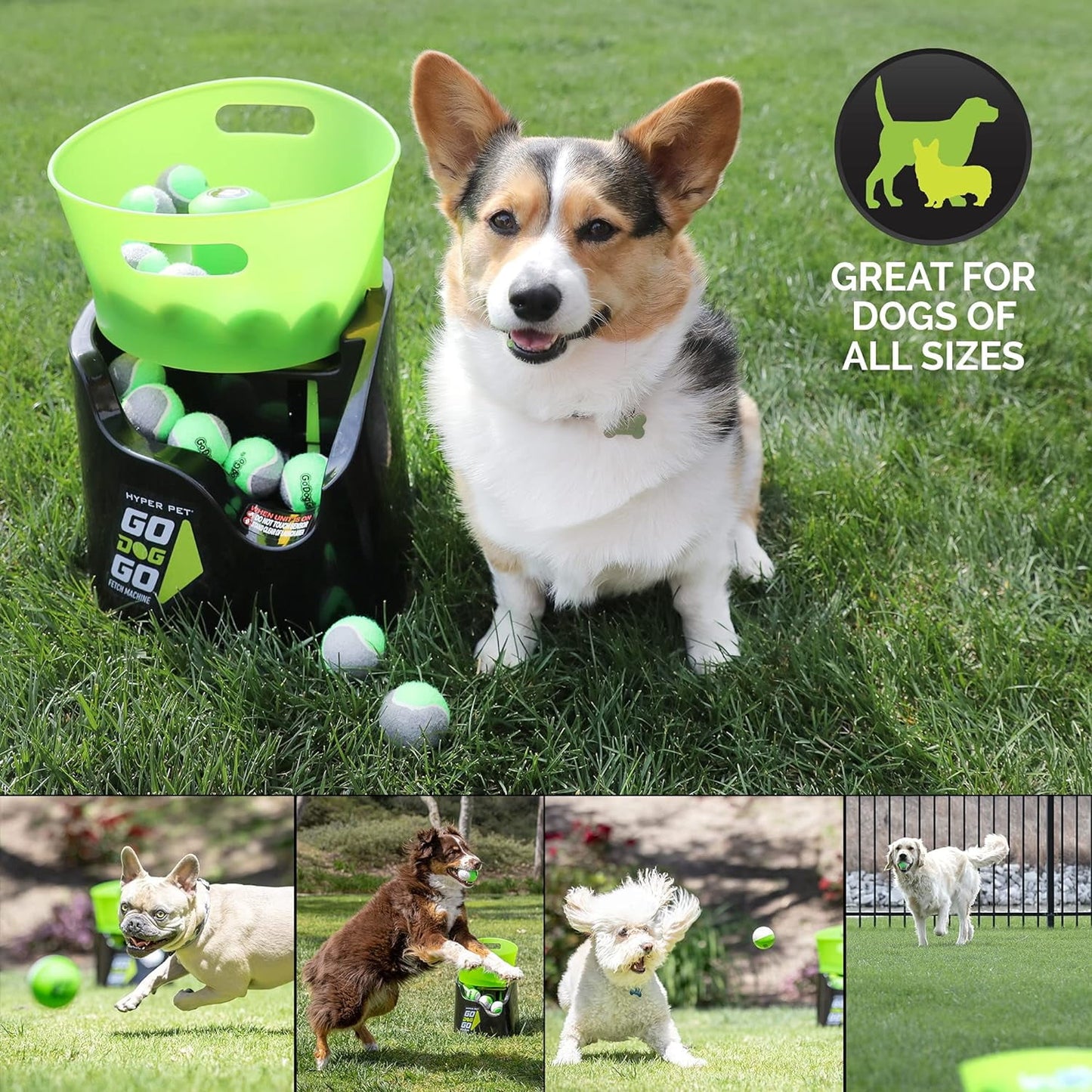 Hyper Pet GoDogGo Fetch Machine Dog Ball Launcher &amp; Automatic Ball Launcher for Dogs With 5 Medium 2.5" Balls for Dogs 20-60 lb