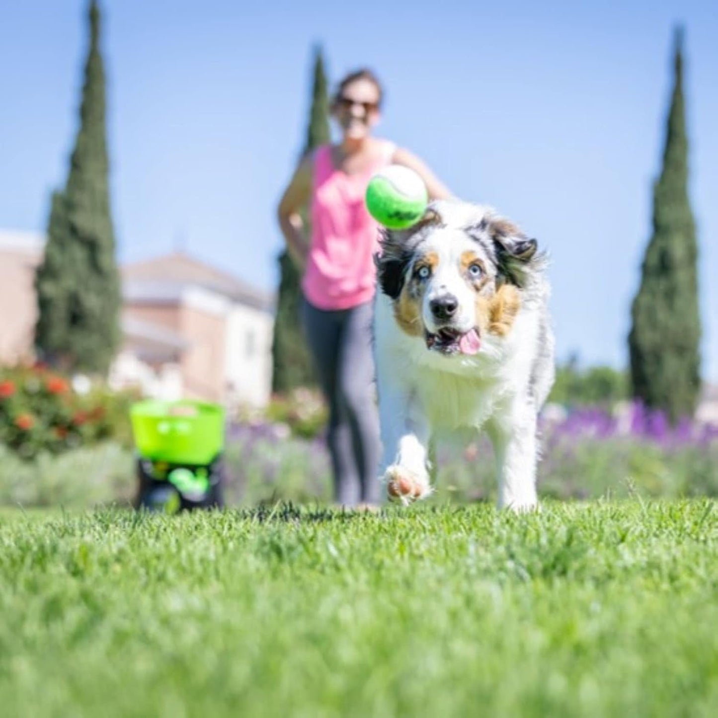 Hyper Pet GoDogGo Fetch Machine Dog Ball Launcher &amp; Automatic Ball Launcher for Dogs With 5 Medium 2.5" Balls for Dogs 20-60 lb
