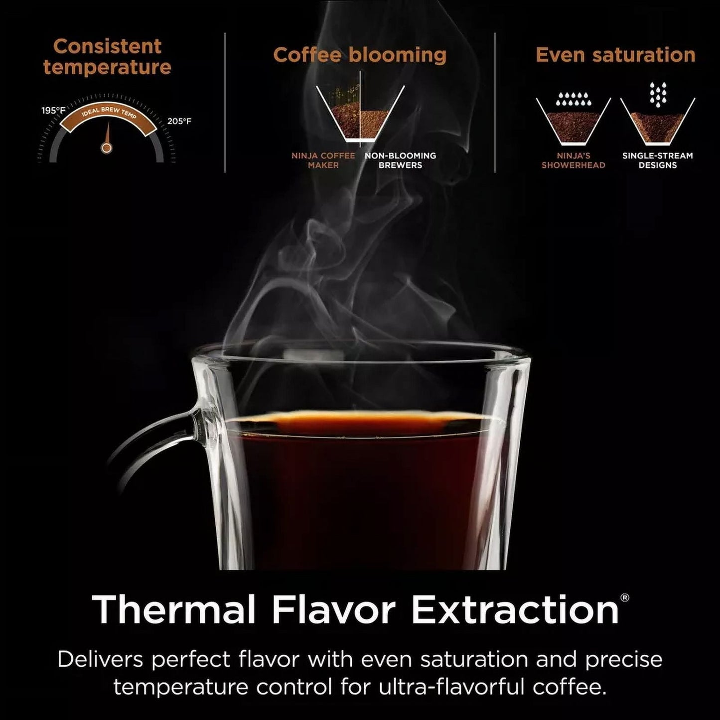 Ninja Hot &amp; Iced XL Coffee Maker with Rapid Cold Brew