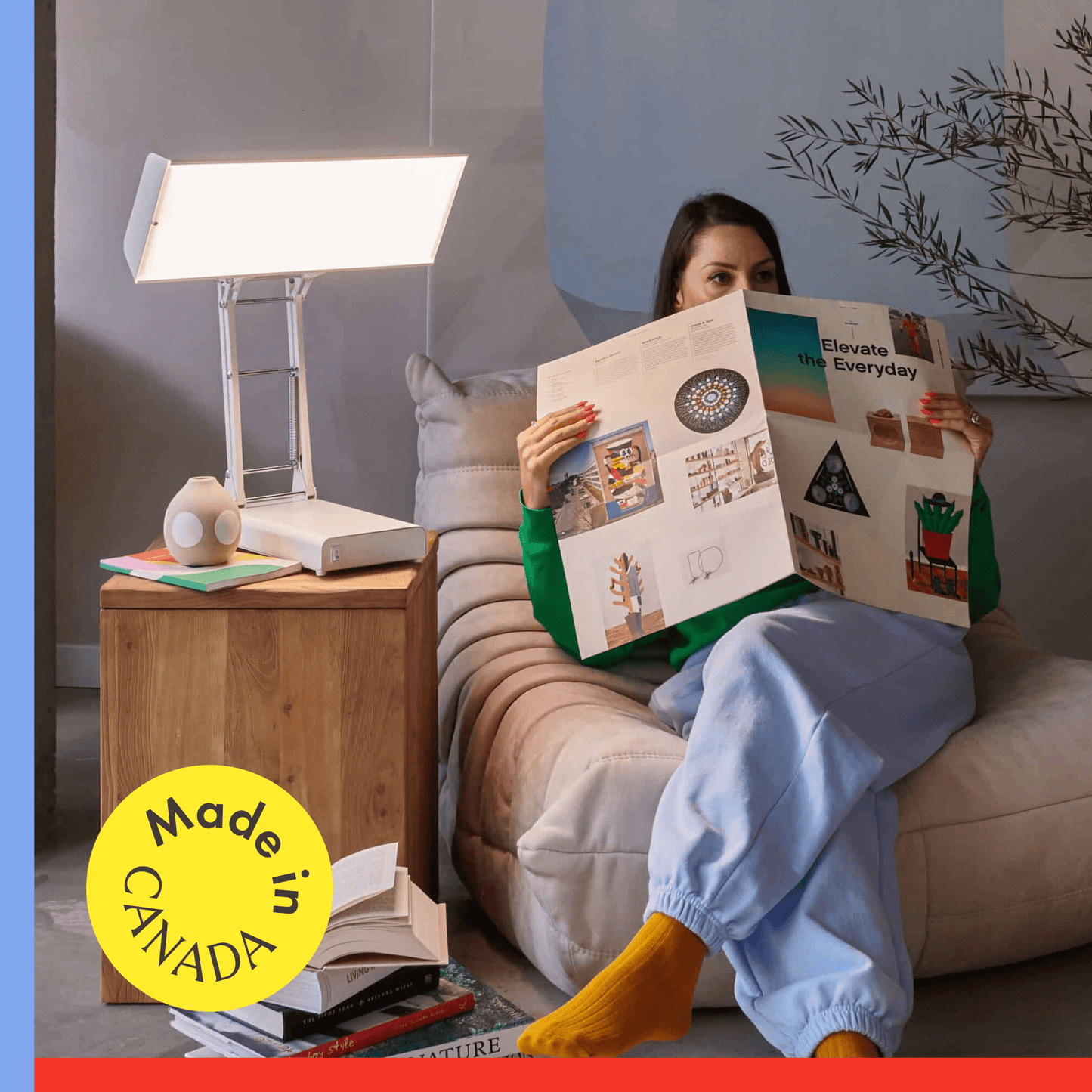 Northern Light Technologies Desk Lamp - 10,000 Lux Light Therapy Lamp